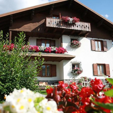 Chalet Stelvio بورمْيو المظهر الخارجي الصورة