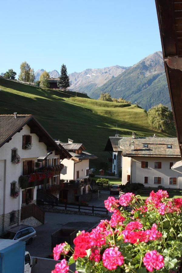 Chalet Stelvio بورمْيو المظهر الخارجي الصورة