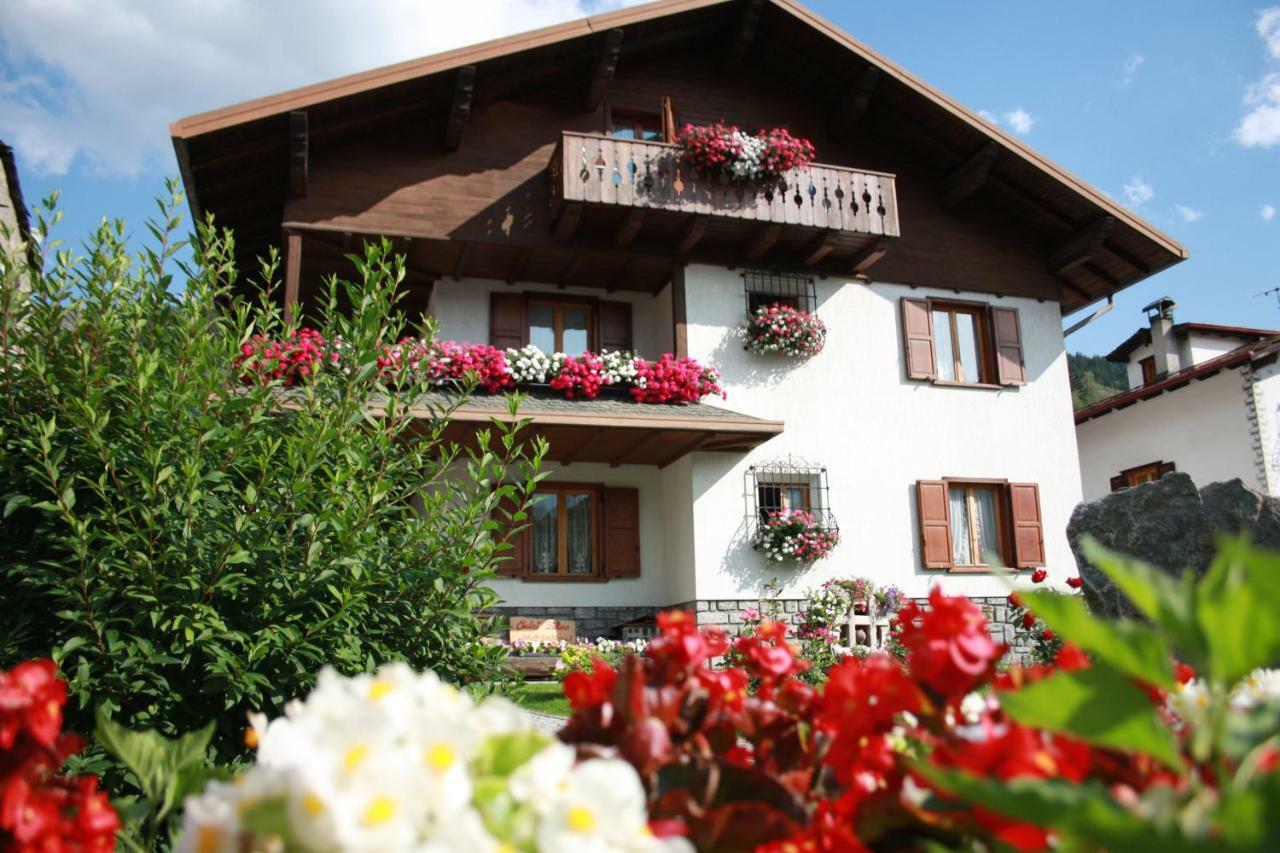 Chalet Stelvio بورمْيو المظهر الخارجي الصورة